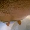 foto do perfil legalcotia